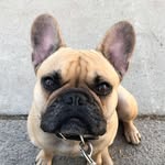 Roger - @roger_rockstar - Instagram