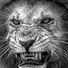 RogerRockR_ - @rogerrockr_ - TikTok