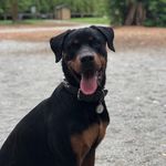 Rowdy Roddy Rogers - @rowdyroddyrogers17 - Instagram