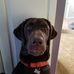 Roger Root - Facebook