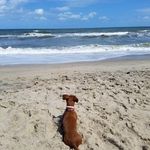 Vickie Roger Roscoe - @vickierogerroscoe - Instagram