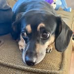 Roger - @roger_rue_ - Instagram