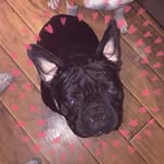 Roger Rue Knisley - @rogerrueknisley - Instagram