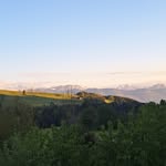 Roger Rüegg - @ruegg.roger - Instagram