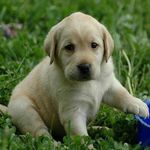 Roger Runion - @roger.runion - Instagram