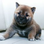 rogerrunion - @rrunion0 - Instagram