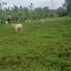 Roger Salas - @roger.salas4 - TikTok