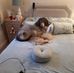 Roger Sanderson - Facebook