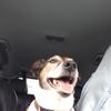 Roger Saville - @roger.saville - TikTok