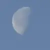Roger Schmid - @roger.schmid8 - TikTok