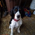 Roger Schmitz - @roger.schmitz.56 - Instagram