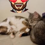 Roger Schulz - @schulz6254 - Instagram