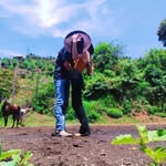 Roger Schulz Lauvers - @roger_schulz_lauvers - Instagram