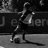 _rogerbalsells - @_rogerbalsells - TikTok