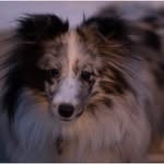 Roger Severn - @oldsparks - Instagram