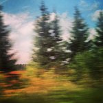 Roger Sexton - @steindepr - Instagram