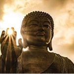 Roger Shaffer - @rogershaffer1 - Instagram