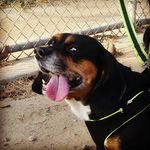 Roger AgaveAzul Shanklin - @splashoner72 - Instagram