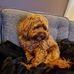 Roger Shell - Facebook