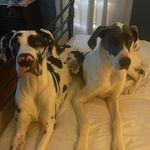 Roger Shell - @rogerlshell - Instagram