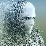 Roger Shipman - @shipman988 - Instagram