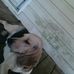 Roger Shoffner - Facebook