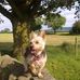 Roger Shuttleworth - Facebook