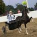 Roger L. Sims - Facebook