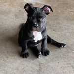 Roger Skipper - @roger.skipper.547 - Instagram