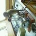 Skipper Roger - Facebook
