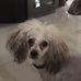 Roger Slade - Facebook