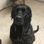 Roger Slice - @sliceman_423 - Instagram