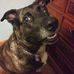 Roger Vanderslice - Facebook