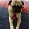 Roger Solano - @roger.solano5 - TikTok