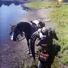 rogersolano240 - @rogersolano240 - TikTok