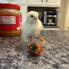 Alfredo Rogersons - @peggy.rogersons - TikTok