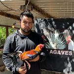 Roger Soto - @rancho_los_agaves_rogelio_soto - Instagram