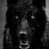 Roger Sparks - @roger.sparks57 - TikTok