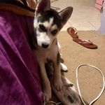 Roger Sparks - @rogersparks167 - Instagram