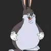 Chunga Norris - @ruger22stallard - TikTok