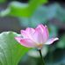 Roger Davis Stapleton - Facebook