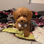 Roger - @roger_stapleton - Instagram
