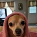 Roger Stapleton - Facebook