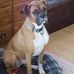 Roger Steeves - Facebook
