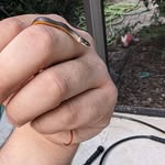 Roger Stell - @royerinsta - Instagram