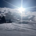 Roger Steller - @rogersteller - Instagram