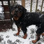 Roger Stephenson - @roger.stephenson.5815 - Instagram