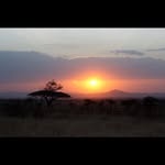 Roger Stevens - @rogers_travel_and_adventure - Instagram