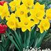 Kim Stonecipher Rogers - Facebook