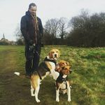 Roger stubbs - @hounddogdaycare - Instagram
